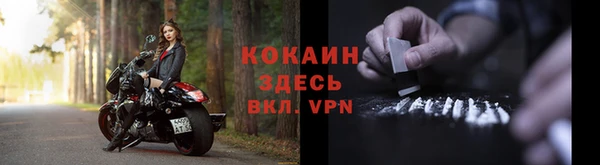 Альфа ПВП Ельня
