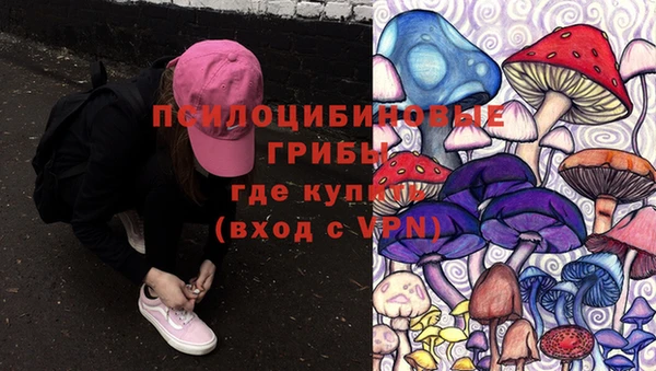 скорость mdpv Елизово