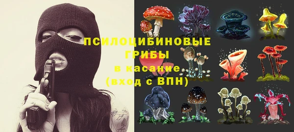 Альфа ПВП Ельня