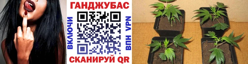 Бошки марихуана марихуана  Купить закладки  Партизанск 